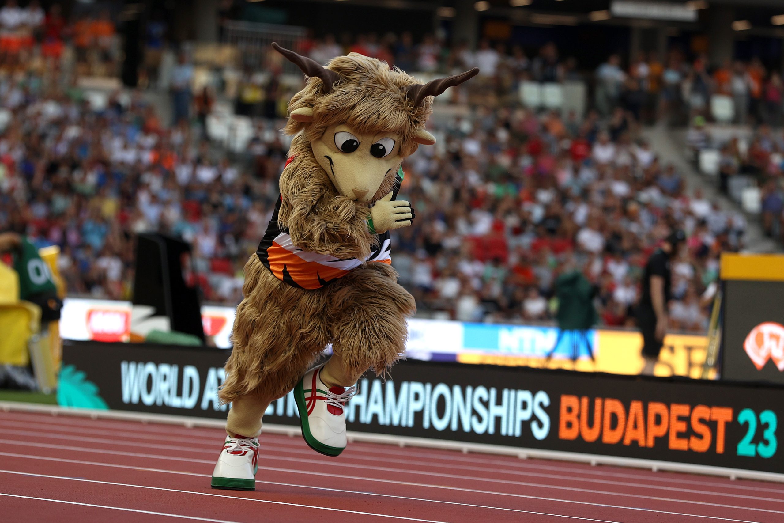 coe pozitiv kornyezeti es tarsadalmi orokseget hagyott a budapesti atletikai vb scaled