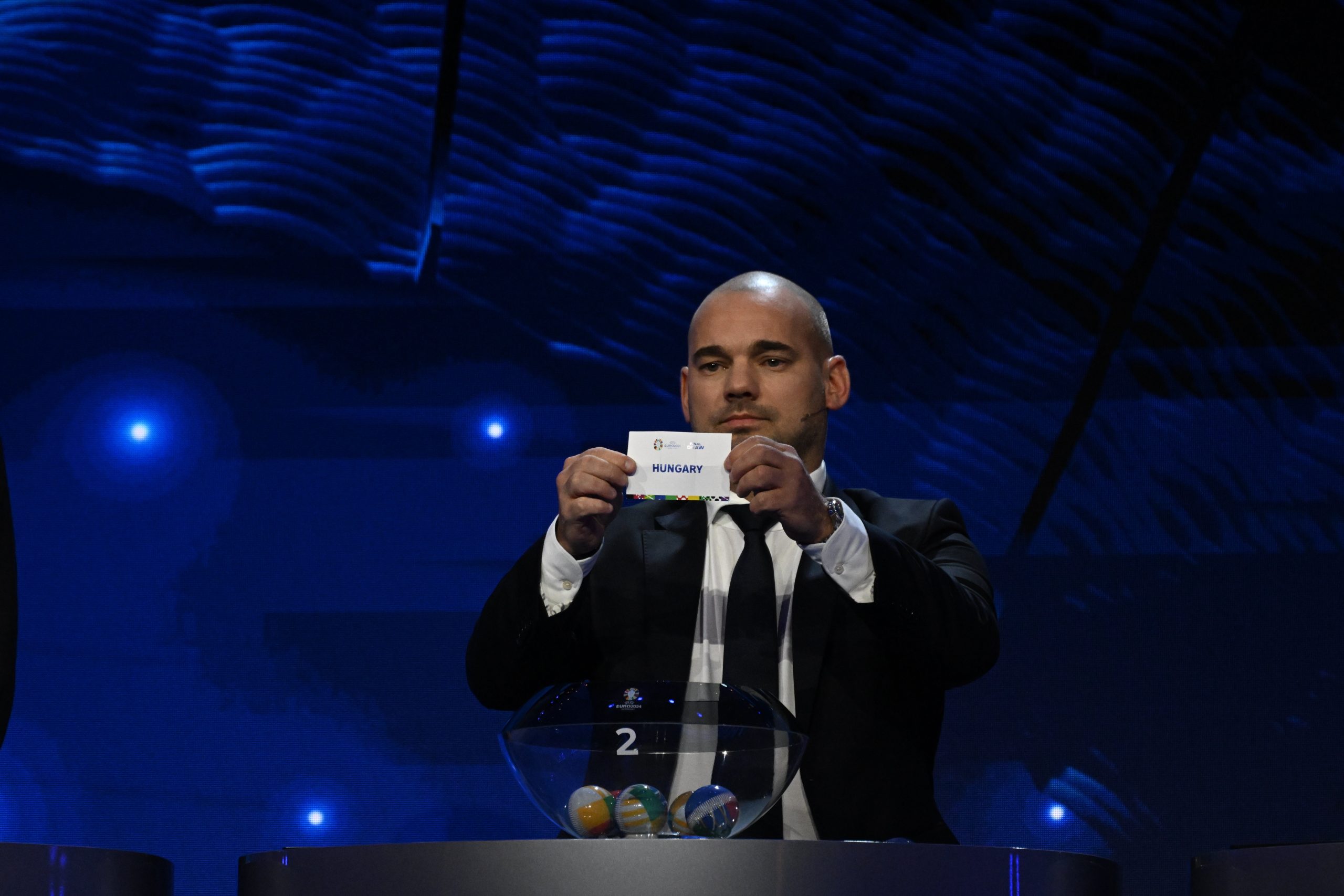 a hazigazda nemetorszaggal egy csoportban a magyarok scaled