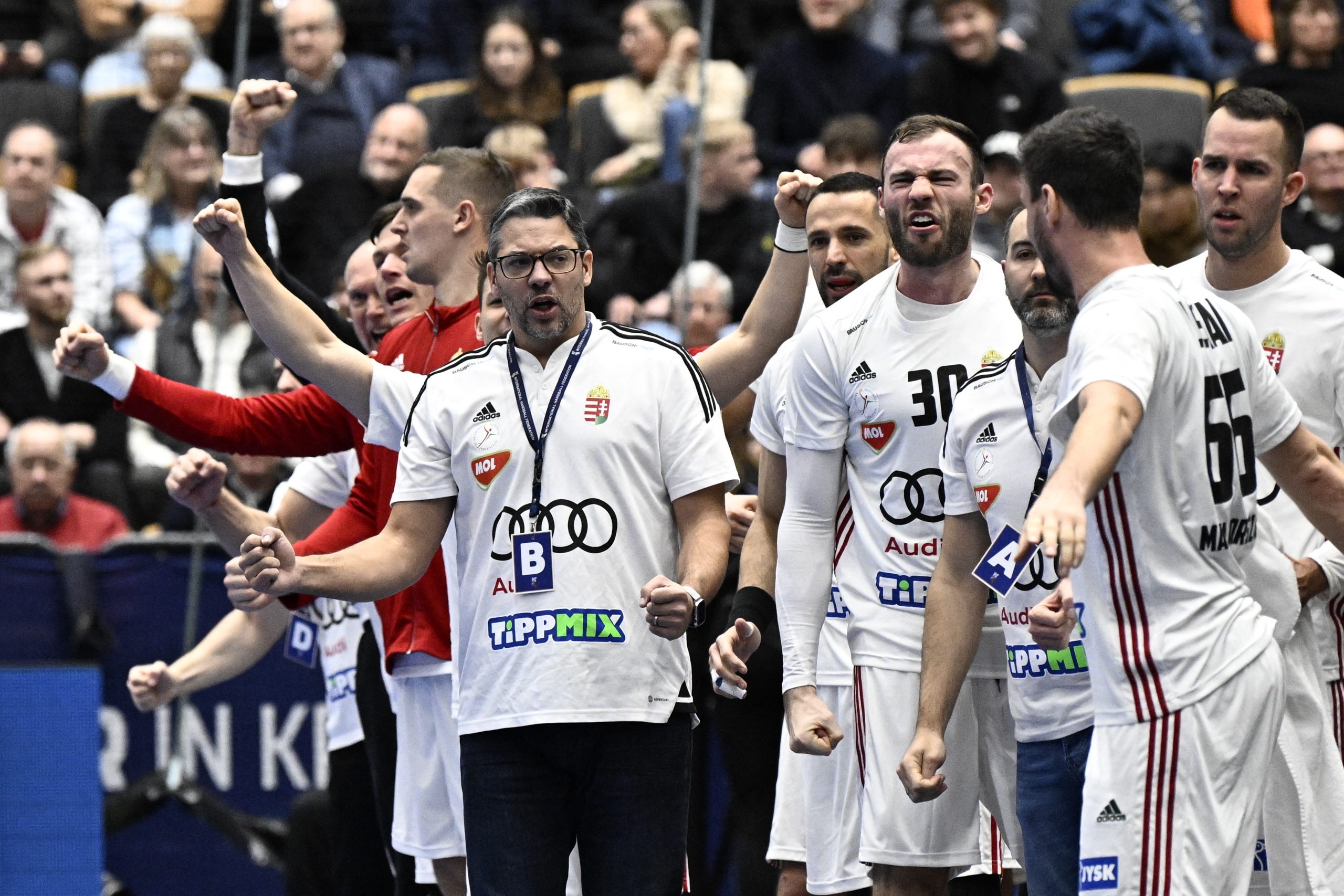 ferfi kezilabda eb a legjobb tiz koze kerules a magyar valogatott celja scaled