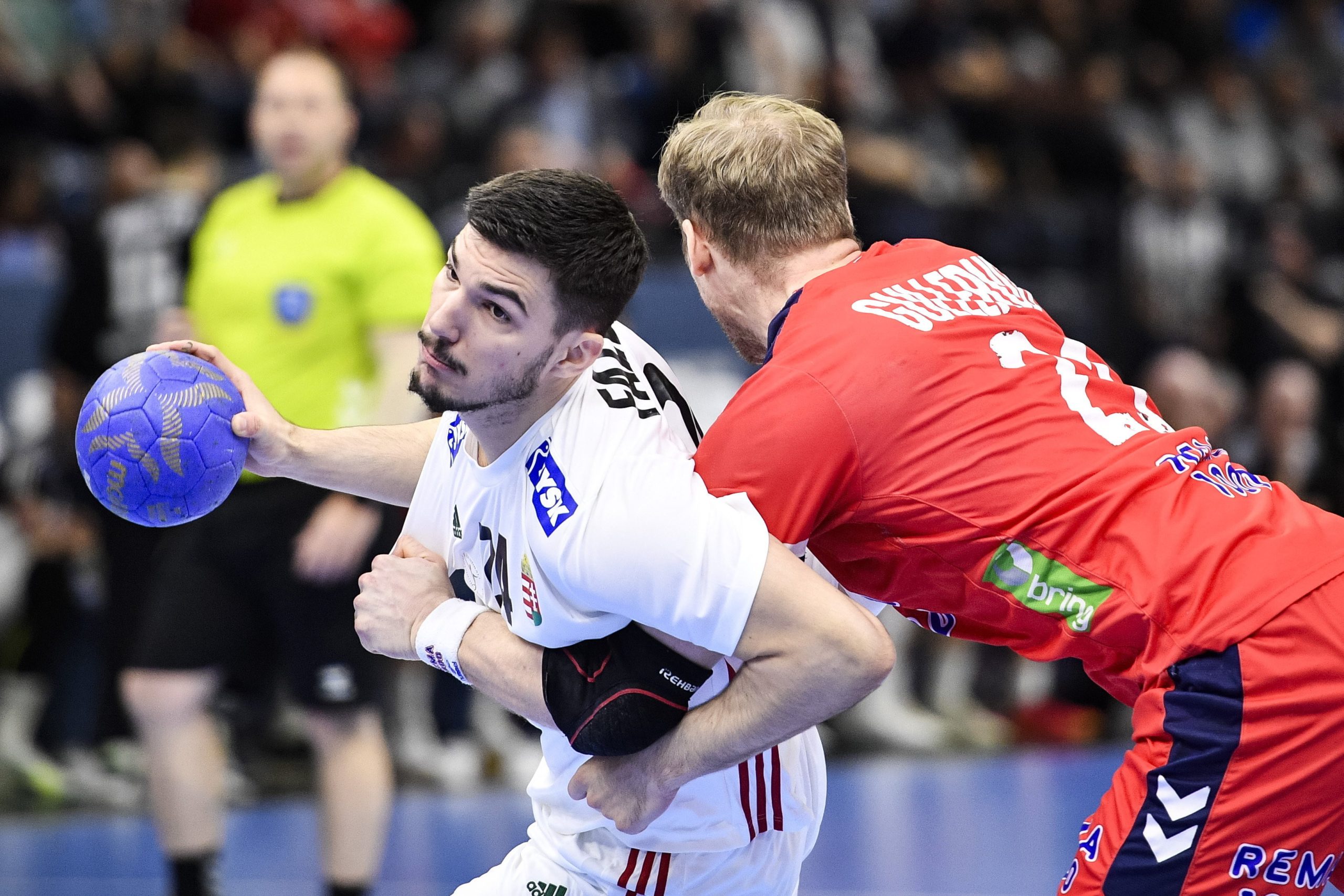 negygolos vereseg a norvegoktol scaled