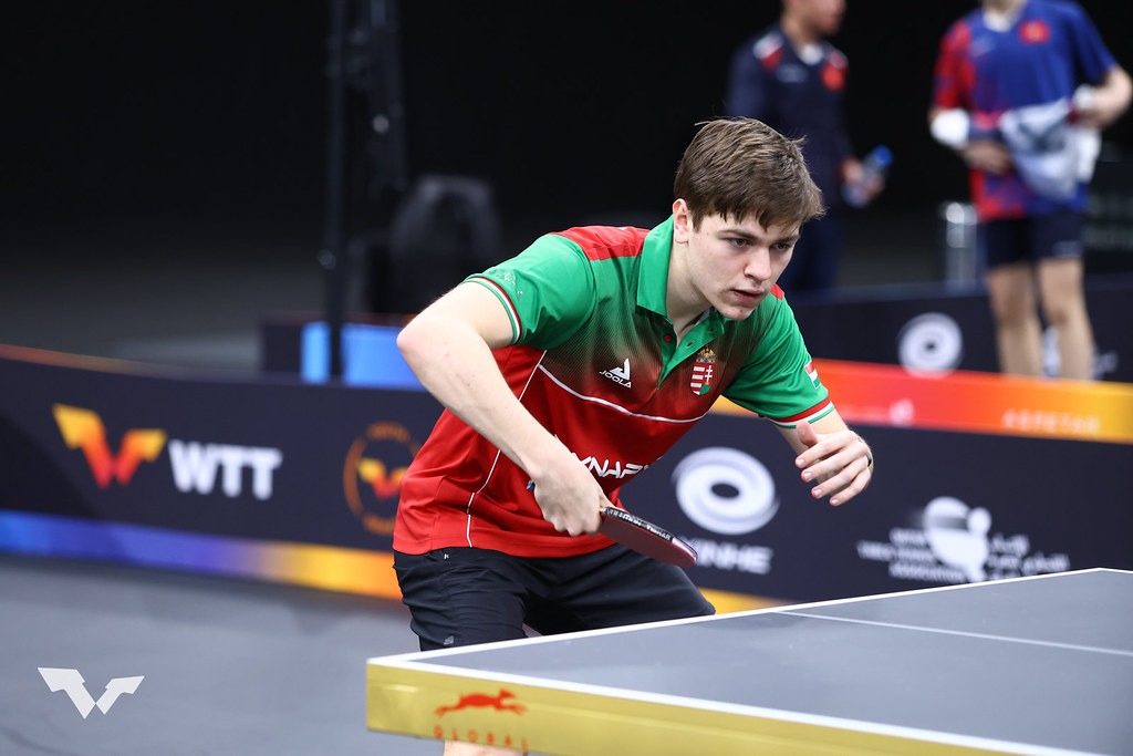 55058238284 16bc8b5d65 b