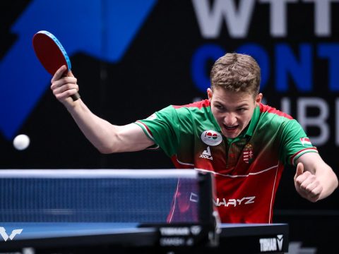 kozel volt az erem wtt feeder lille