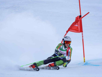 major noel remek eredmenye