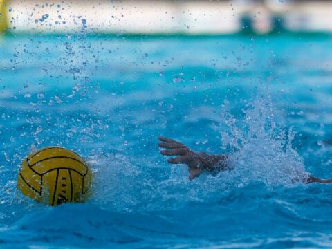 a gorogoke a bronzerem