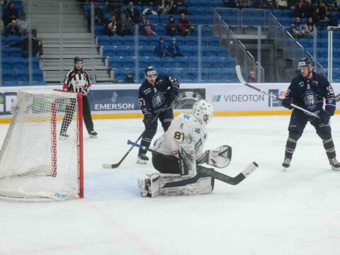 elodontobe jutott a dvtk jegesmedvek es a cimvedo budapest jahc