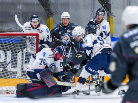 elonyben a budapest jahc es a dvtk jegesmedvek