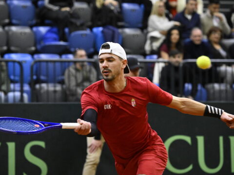 fule matyas is kikapott