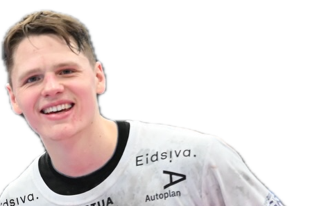 palasics kristof 15 vedese lukacs peter tiz golja