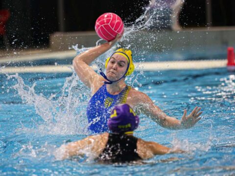 A BVSC a Padovával játszik a negyeddöntőben a bvsc a padovaval jatszik a negyeddontoben