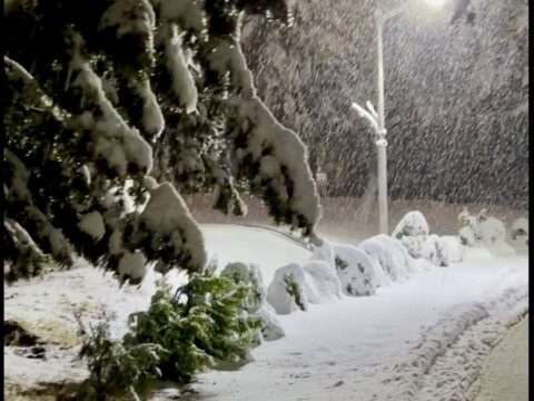 emelt fovel hoviharban tavozva