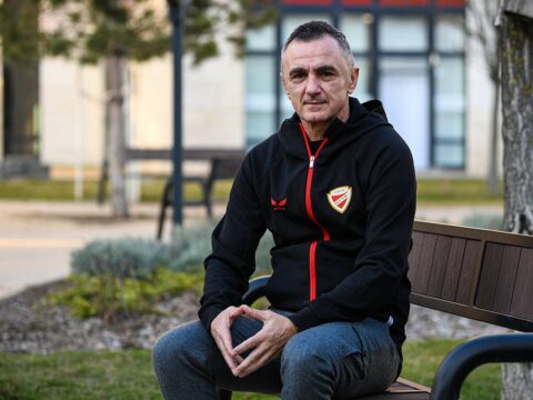 nebojsa vignjevic a diosgyor uj vezetoedzoje