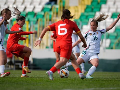 csanyi diana mesterharmast szerzett