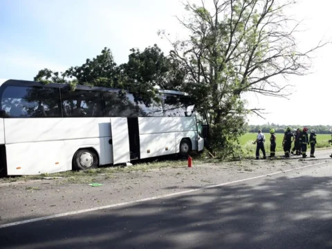 Fának hajtott a pécsi aerobik csapat autóbusza a 6-os főúton