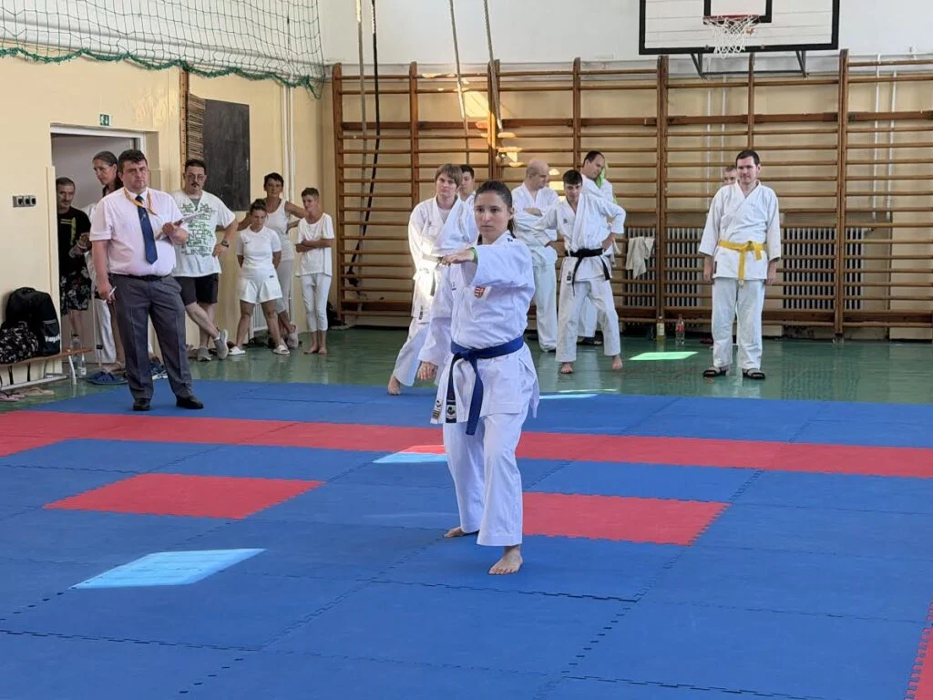 Újabb mérföldkőhöz érkezett a hazai para-karate Újabb mérföldkőhöz érkezett a hazai para-karate