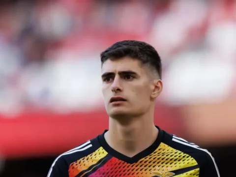 HIVATALOS: António Silva a Benficától az AFC Bournemouth csapatához igazolt