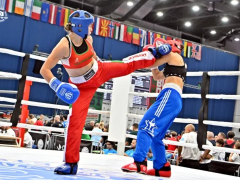 Hét magyar arany a budapesti kick-box világkupán